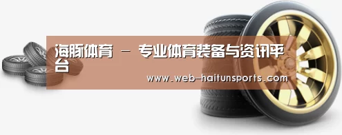 关于海豚体育 
