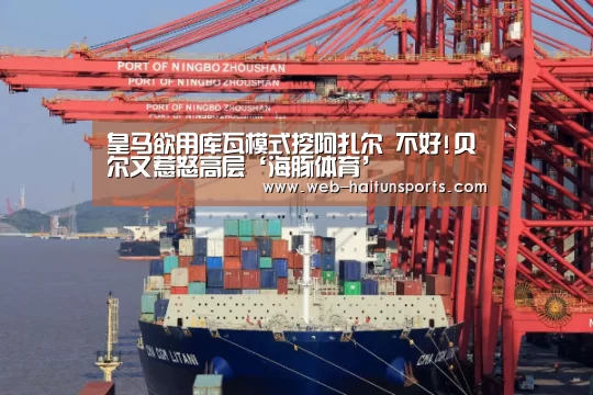 海豚体育