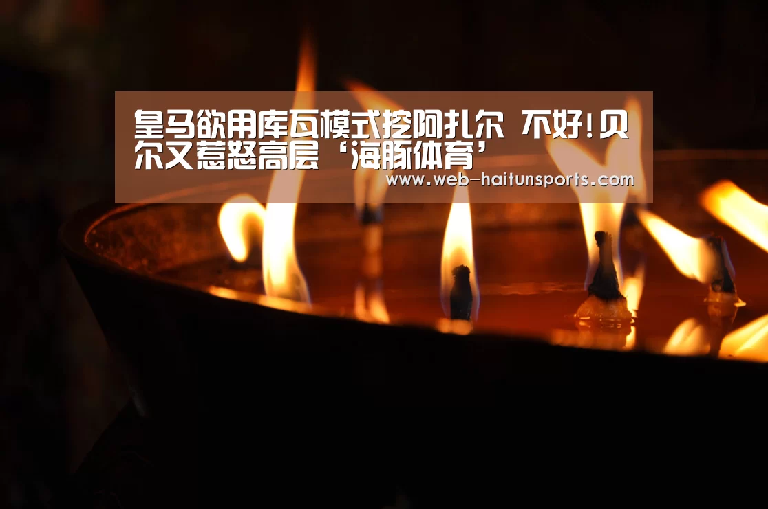 海豚体育