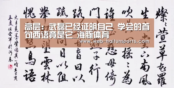 海豚体育
