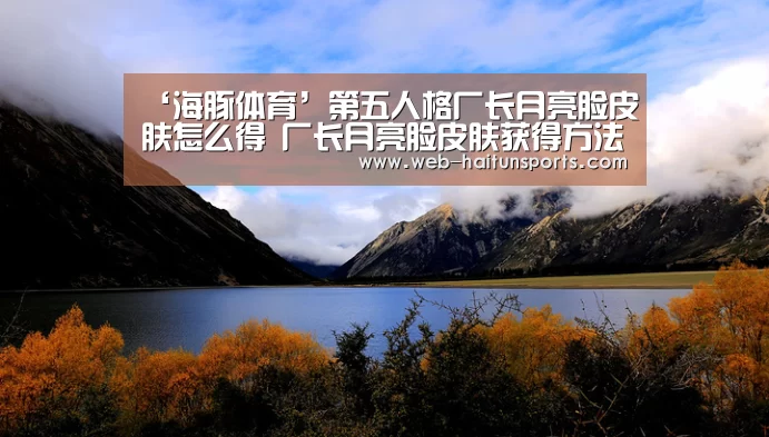 海豚体育