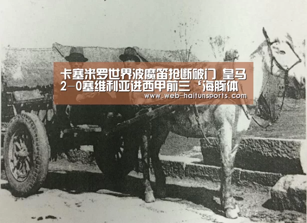 海豚体育