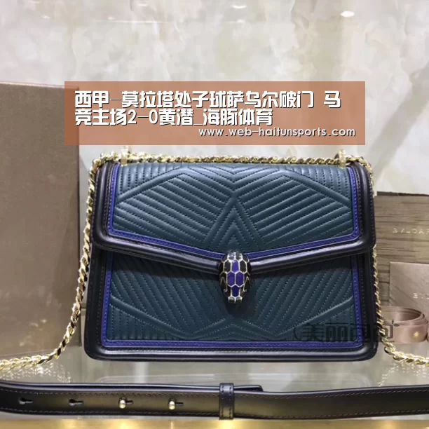 海豚体育