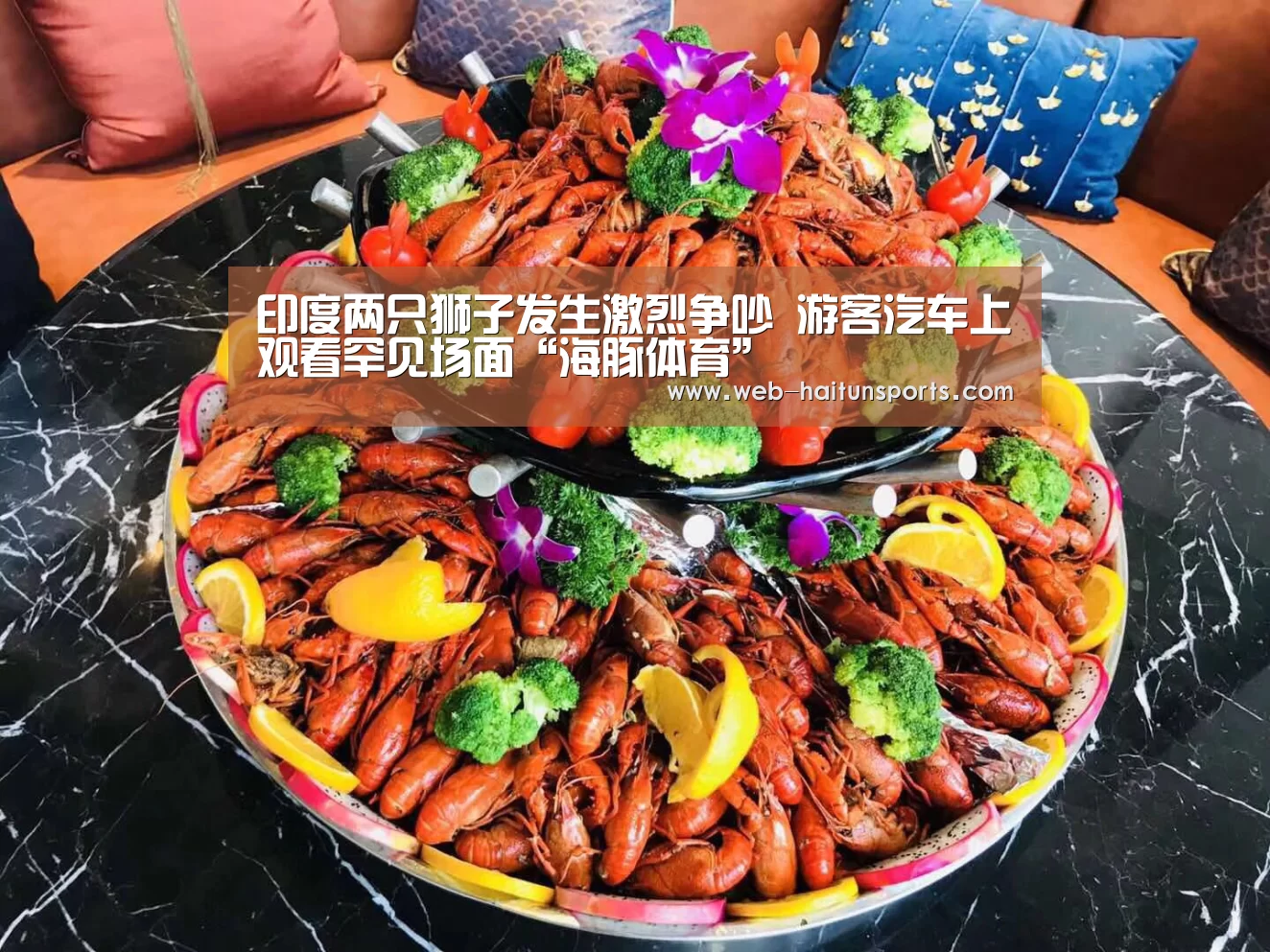海豚体育