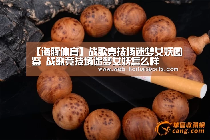 海豚体育