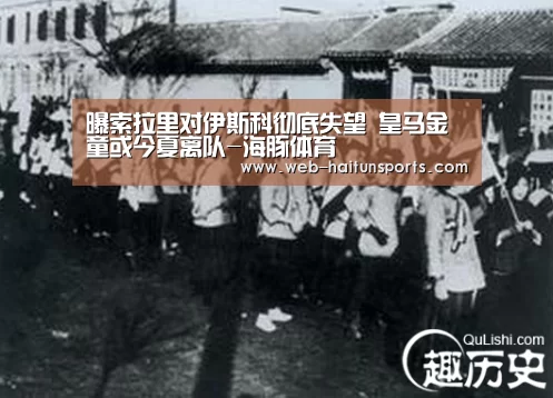 海豚体育