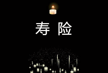 海豚体育