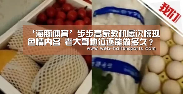 海豚体育